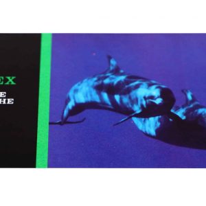 Rolex Sea-Dweller Submariner Brochure Ephemera